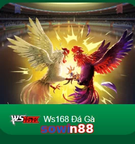 sowin88