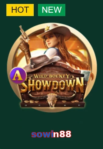sowin88