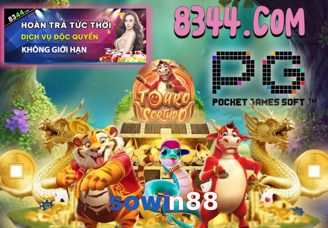 sowin88
